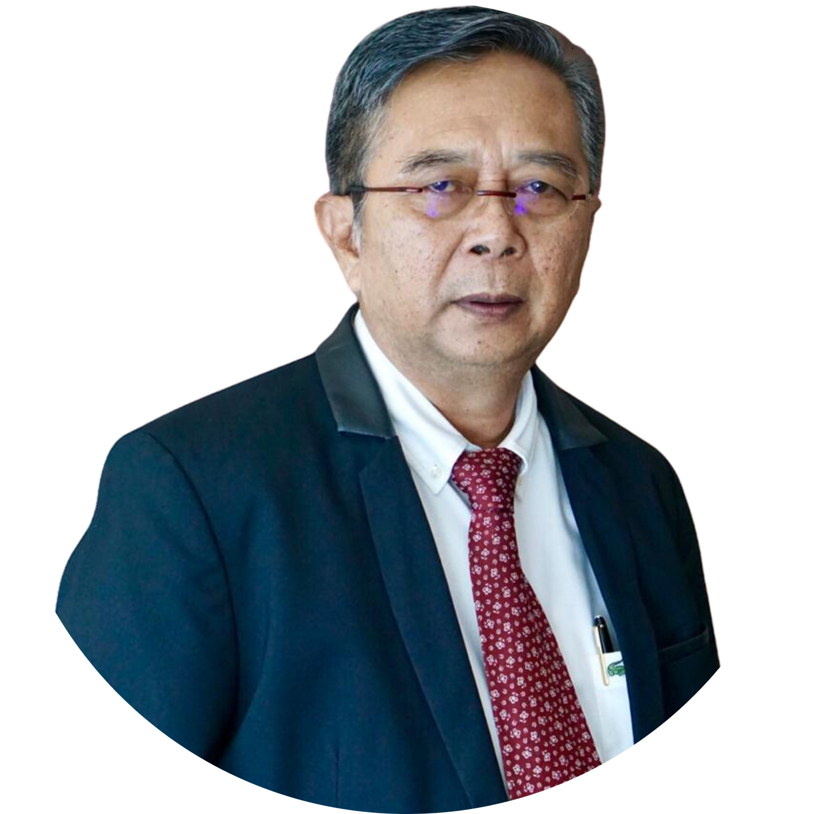 Prof. Dr. Nindyo Pramono